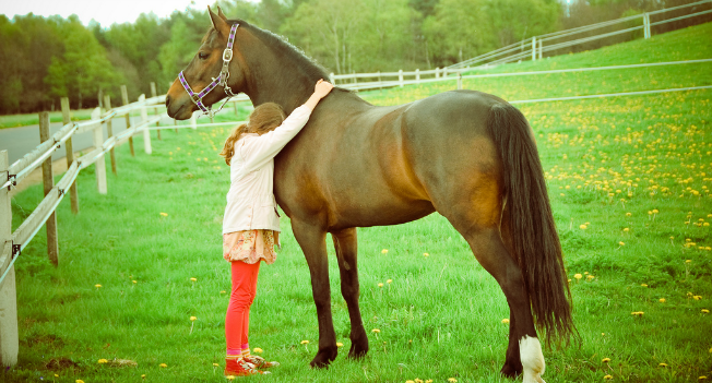 How Owning a Horse Can Benefit Your Health