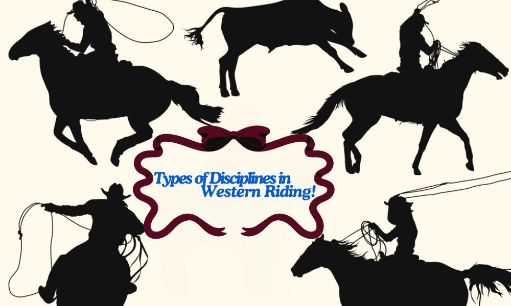 Types-of-Disciplines-in-Western-Riding