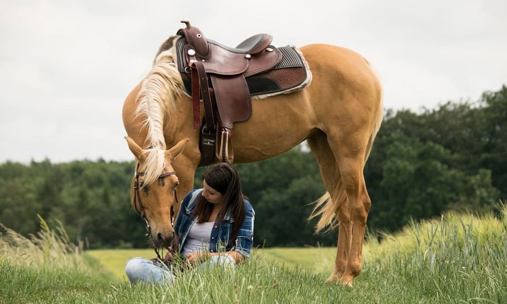 Western Style Riding Tips and tricks to try