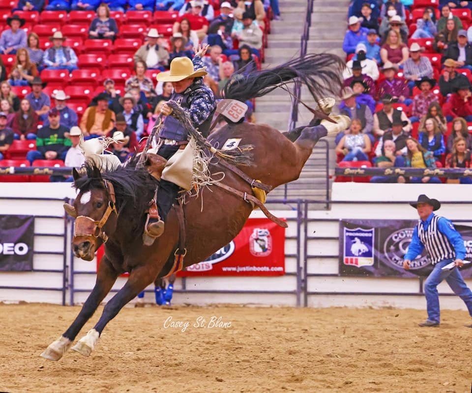 Benny-Binions-Bucking-Horse-and-Bull-Sale