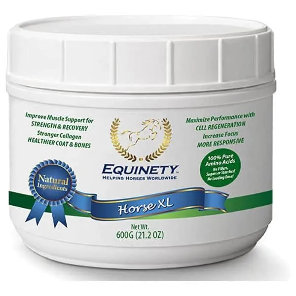 Equinety-Horse-XL