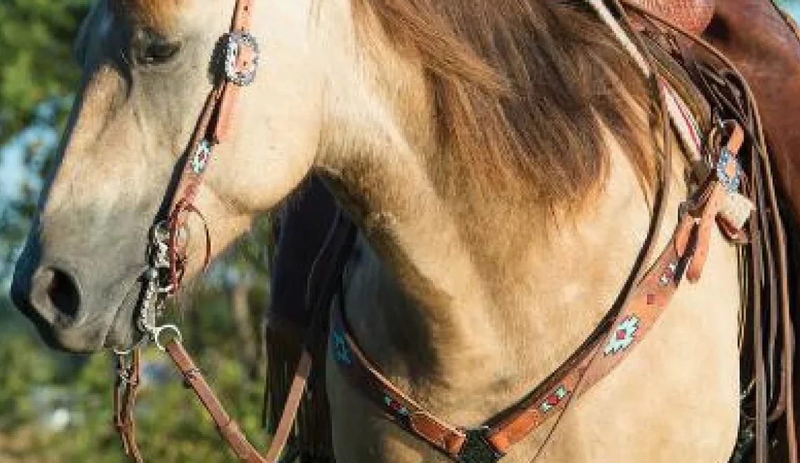 Top 5 Trendy Western Headstalls for Every Rider