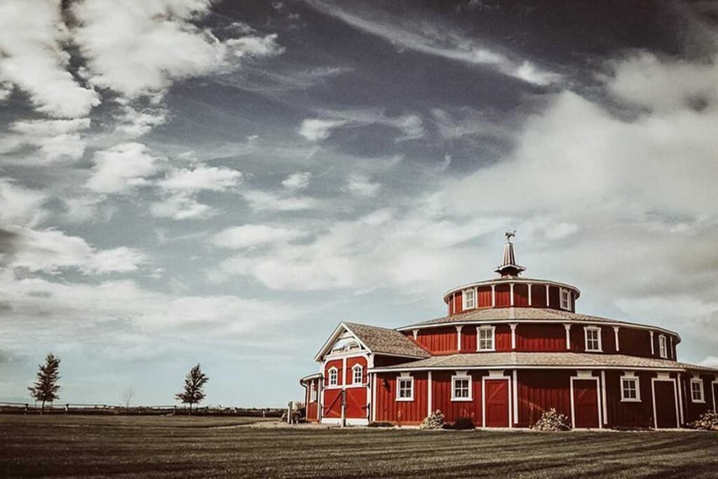 The Champions Born in the Round Barn