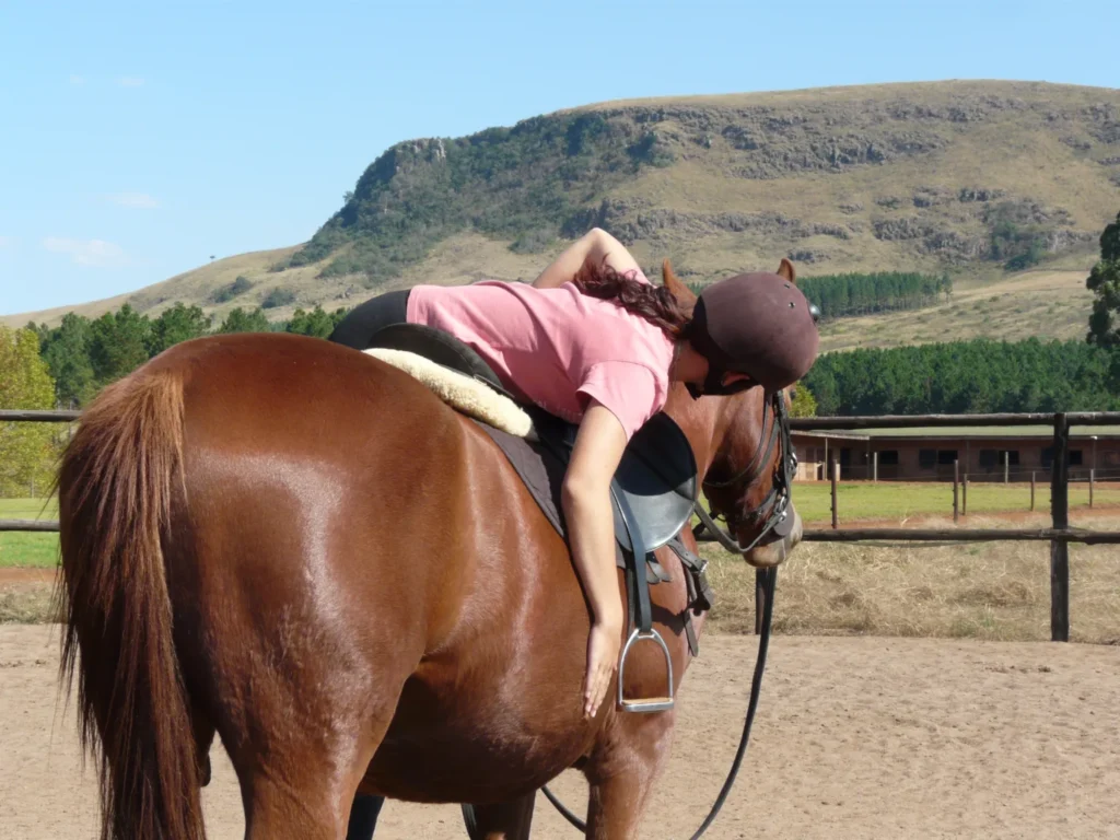 Training-Tips-for-Young-Horses