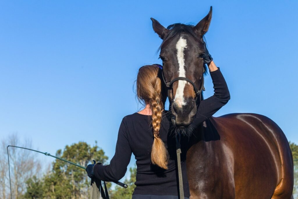 trainer-leading-a-horse-in-a-relaxed-trot-showcasing-effective-communication-within-the-round-pen